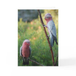 My Beautiful Wife cards