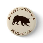 My Best Friend (Border Collie) Pinback Buttons