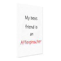 My Best Friend is a Affenpinscher