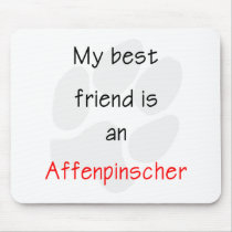 My Best Friend is a Affenpinscher
