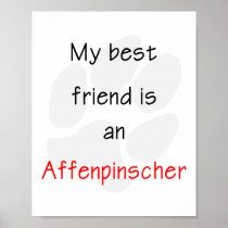 My Best Friend is a Affenpinscher