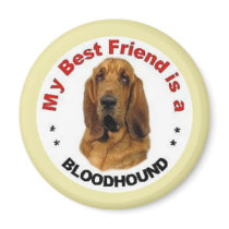 My Best Friend is a Bloodhound Fridge Magnets