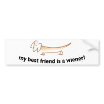 My Best Friend is a Wiener ....(Dachshund) Bumper Stickers