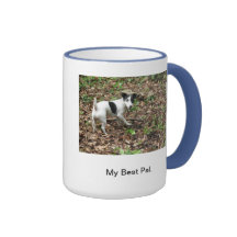 My Best Pal. Mug