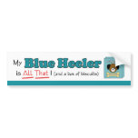 My Blue Heeler is All That! bumper stickers