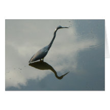 My Blue Heron Card