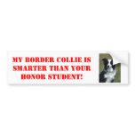 My Border Collie is Smarter Than Your Honour...