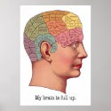 My Brain is Full Up posters