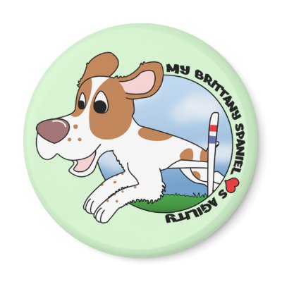 My Brittany Spaniel Loves Agility Magnet by MenagerieMayhem