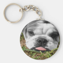 my bulldog keychain