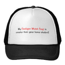 My Cardigan Welsh Corgi is smarter... Hat