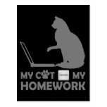 My cat deleted my homework postcards
