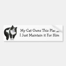 My Cat Owns This Place Bumper Sticker