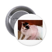 My Cat Pinback Button