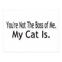 My Cat Postcard