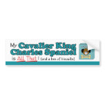My Cavalier King Charles Spaniel is All That! Bumper Stickers