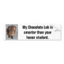 My Chocolate Lab's smarter than your honour studen