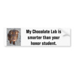 My Chocolate Lab's smarter than your honour studen bumper stickers