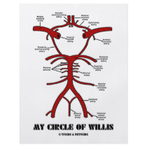 My Circle Of Willis (Arteries Anatomical Humour)