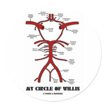 My Circle Of Willis (Arteries Anatomical Humour)