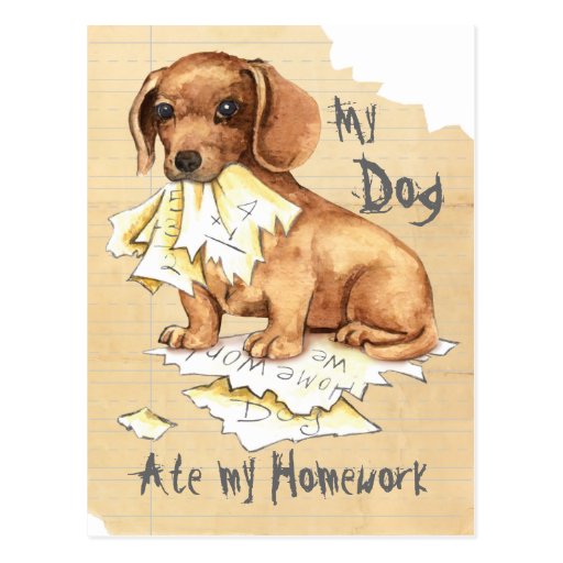 My Dog Does My Homework