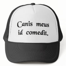 My dog ate it. hat