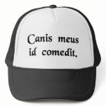 My dog ate it. hats