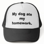 My dog ate my homework.