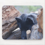 My dog hunting in the woodpile mousepads