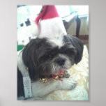 My dog is a genius posters