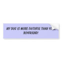 My dog is more faithful than your boyfriend! bumper stickers