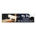 My Dog is Smarter than the Supreme Court