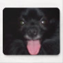 My dog mouse pads