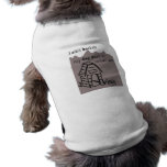 My dog park is Jackson Hole pet clothing
