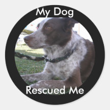 My Dog Rescued Me (Custom) Sticker