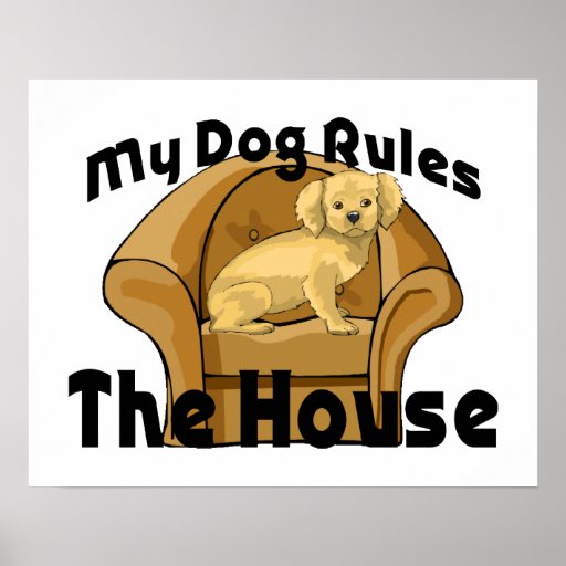 dog-rules-posters-dog-rules-prints-zazzle-uk