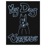 My Dog Uranus Flyer