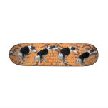 My Dog's Skateboard