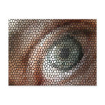 my eye postcards