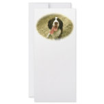My Faithful Spaniel rack cards