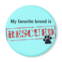My Favourite Breed Is Rescued Refrigerator Magnet