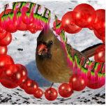 My Female Cardinal Valentine With Red Bubble Heart photo sculptures
