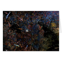 My Fish - Card