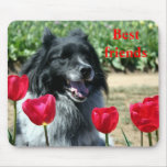 My flower mousepads
