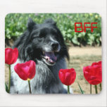 My flower mousepads