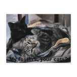 My fosters, your cats? post cards