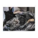 My fosters, your cats? postcards
