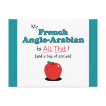 My French Anglo-Arabian is All That! Funny Horse Postcards