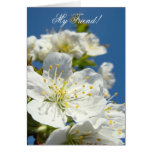 My Friend! Greeting Cards Spring Cherry Blossoms