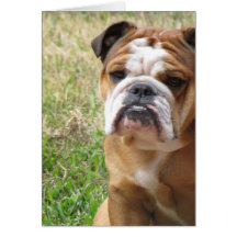 my girl card